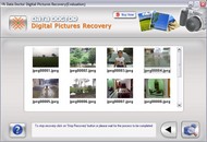 Digital Photo Recovery Tool screenshot